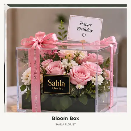 Bloom Box Merauke